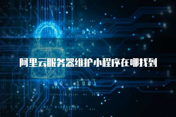 阿里云服务器维护小程序在哪找到