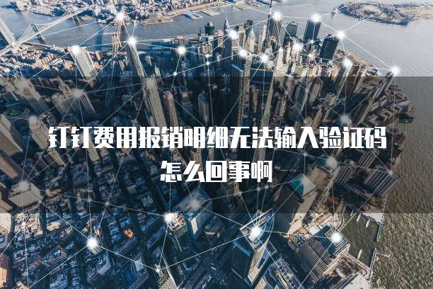 钉钉费用报销明细无法输入验证码怎么回事啊