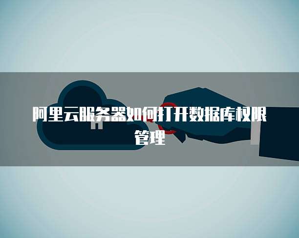 阿里云服务器如何打开数据库权限管理