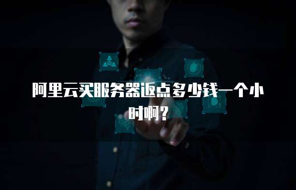 阿里云买服务器返点多少钱一个小时啊?