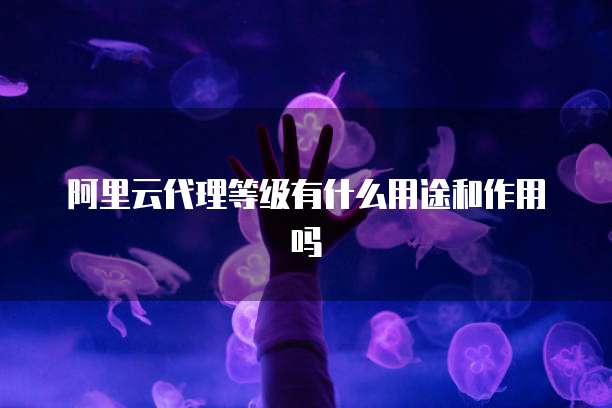 阿里云代理等级有什么用途和作用吗