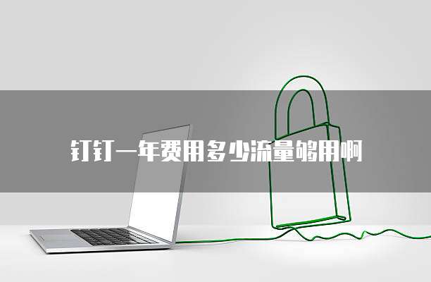 钉钉一年费用多少流量够用啊