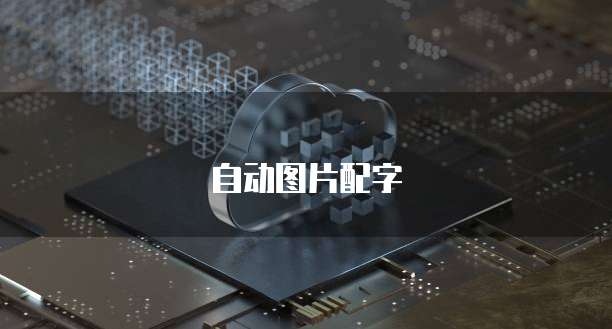 钉钉项目助手怎么开启摄像头模式功能