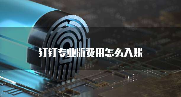 钉钉专业版费用怎么入账