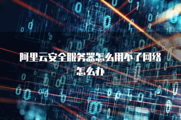 阿里云安全服务器怎么用不了网络怎么办