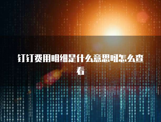 钉钉费用明细是什么意思呀怎么查看