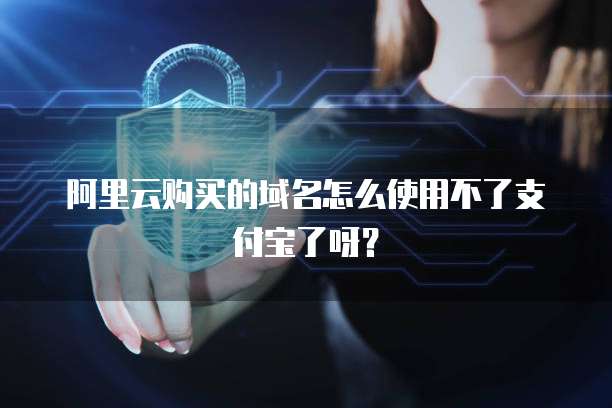 阿里云购买的域名怎么使用不了支付宝了呀?
