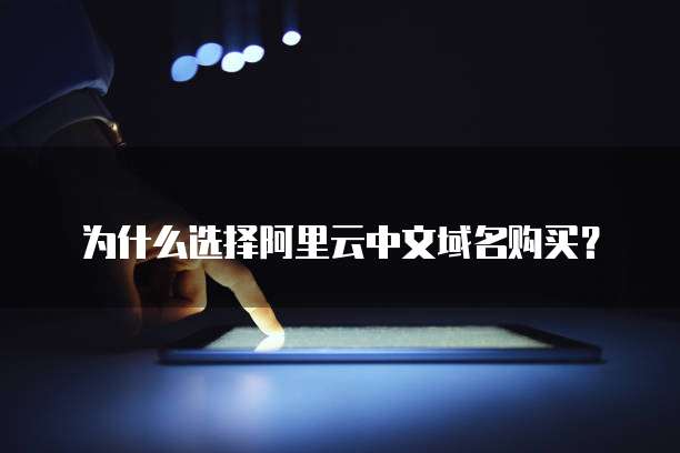 为什么选择阿里云中文域名购买？