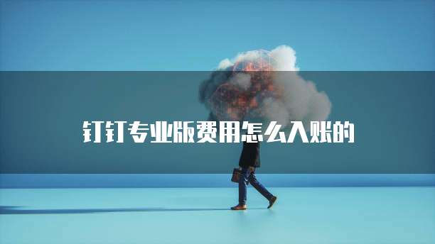 钉钉专业版费用怎么入账的