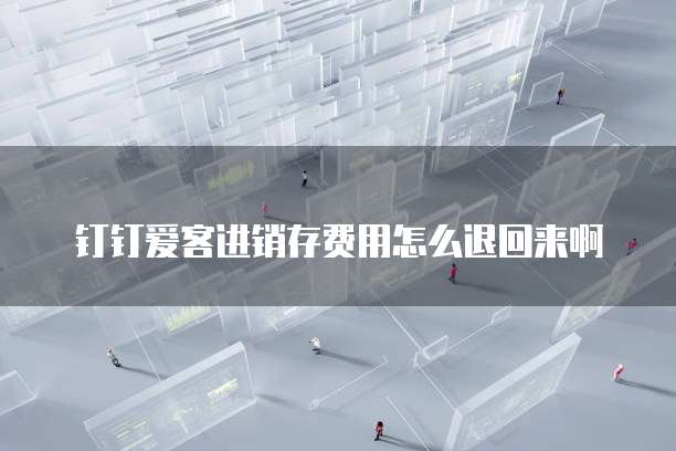 钉钉爱客进销存费用怎么退回来啊