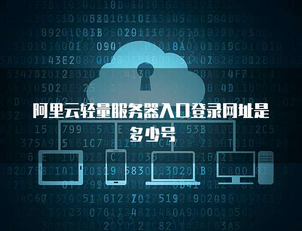 阿里云轻量服务器入口登录网址是多少号