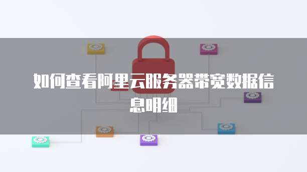 如何查看阿里云服务器带宽数据信息明细