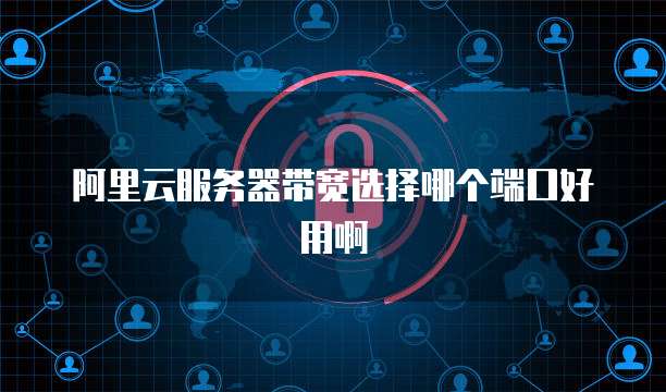 阿里云服务器带宽选择哪个端口好用啊