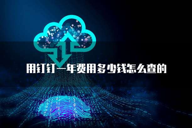 用钉钉一年费用多少钱怎么查的