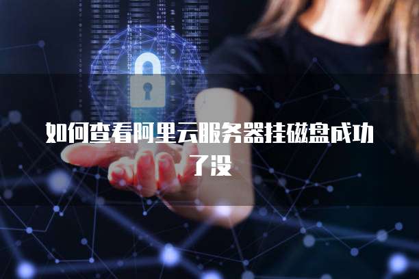 如何查看阿里云服务器挂磁盘成功了没