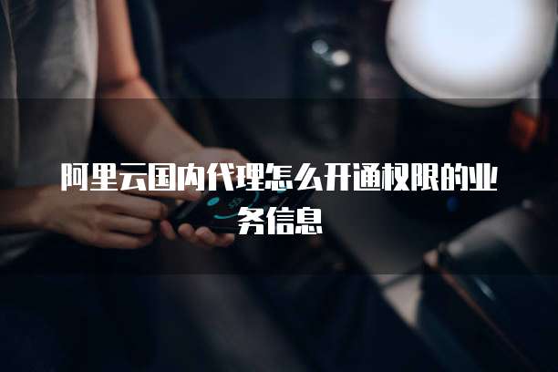阿里云国内代理怎么开通权限的业务信息