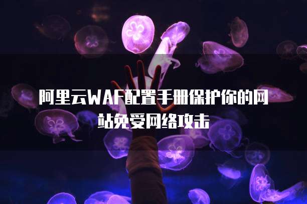阿里云WAF配置手册保护你的网站免受网络攻击
