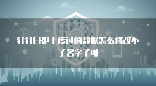 钉钉ERP上传过的数据怎么修改不了名字了呀
