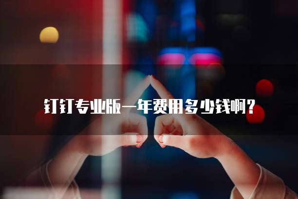 钉钉专业版一年费用多少钱啊？