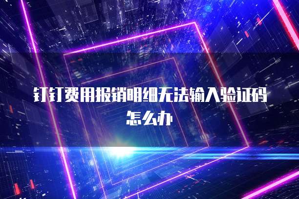 钉钉费用报销明细无法输入验证码怎么办