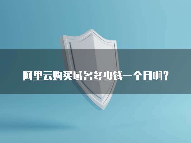 阿里云购买域名多少钱一个月啊?