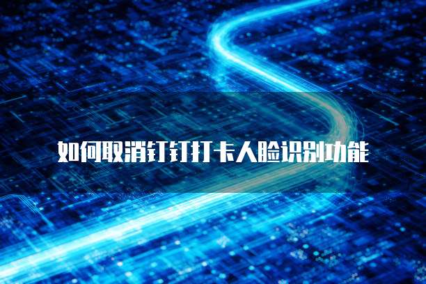 钉钉专业版:如何开通会员账号并登录
