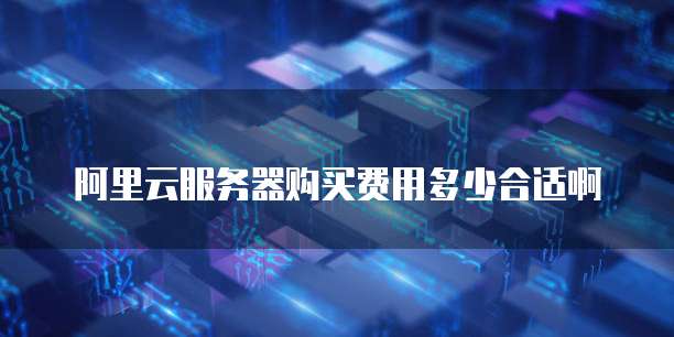 阿里云服务器购买费用多少合适啊
