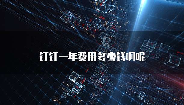 钉钉一年费用多少钱啊呢