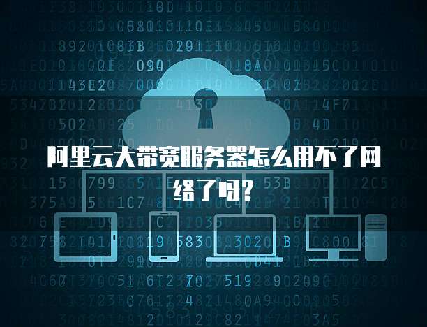 阿里云大带宽服务器怎么用不了网络了呀?