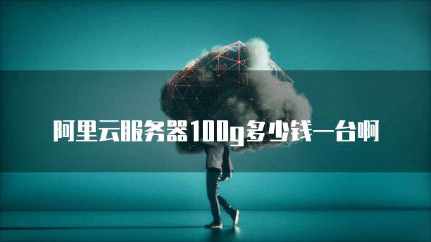 阿里云服务器100g多少钱一台啊