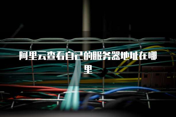 阿里云查看自己的服务器地址在哪里
