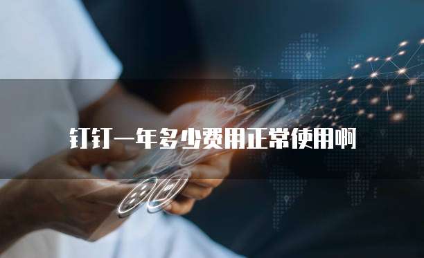 钉钉一年多少费用正常使用啊