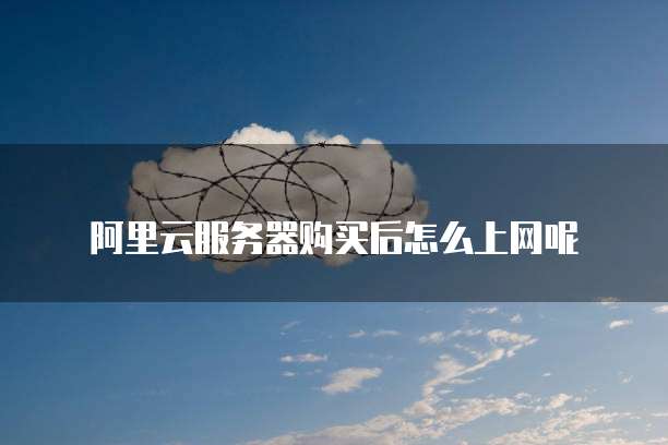 阿里云服务器购买后怎么上网呢