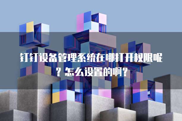 钉钉设备管理系统在哪打开权限呢?怎么设置的啊?