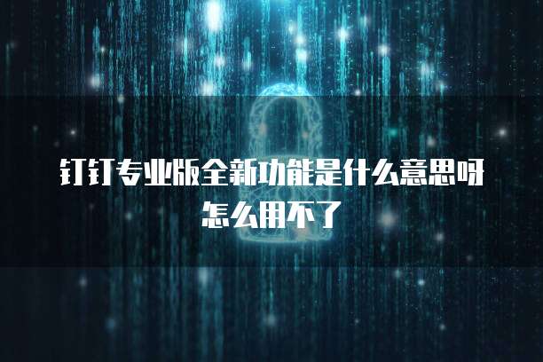 钉钉专业版全新功能是什么意思呀怎么用不了