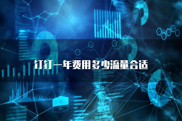 钉钉一年费用多少流量合适