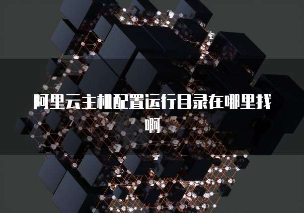 阿里云主机配置运行目录在哪里找啊
