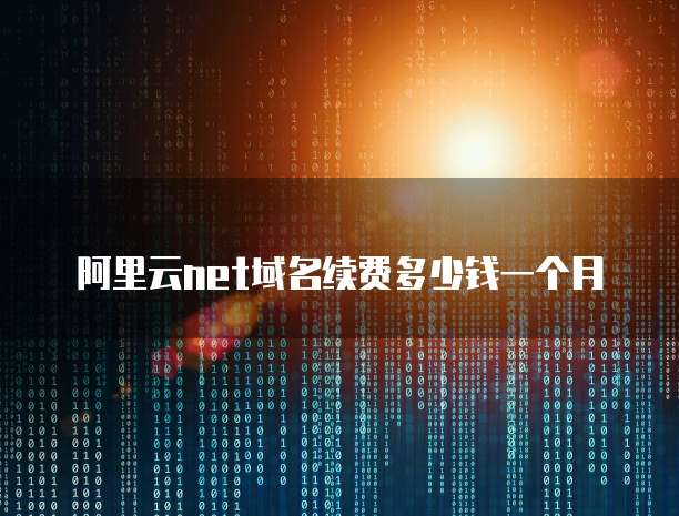 阿里云net域名续费多少钱一个月