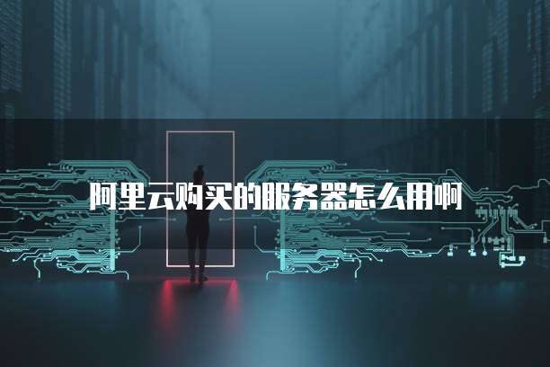 阿里云购买的服务器怎么用啊