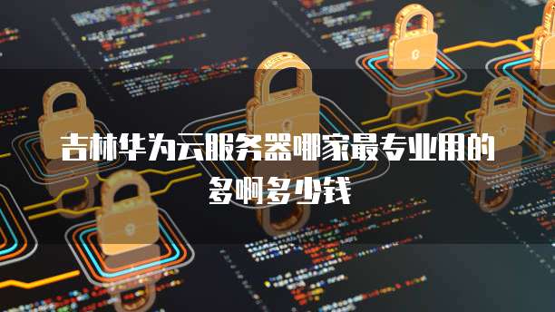 钉钉企业支付价格怎么设置密码