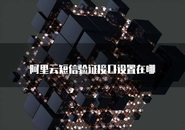 阿里云短信验证接口设置在哪