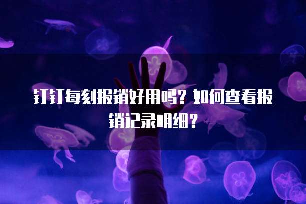 钉钉每刻报销好用吗?如何查看报销记录明细?