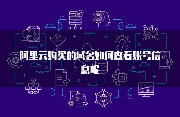 阿里云购买的域名如何查看账号信息呢