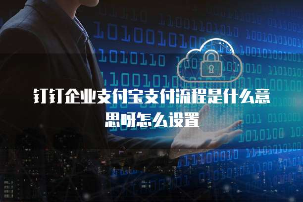 钉钉企业支付宝支付流程是什么意思呀怎么设置