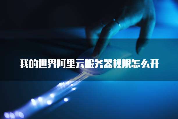 我的世界阿里云服务器权限怎么开