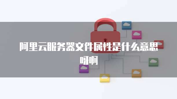 阿里云服务器文件属性是什么意思呀啊