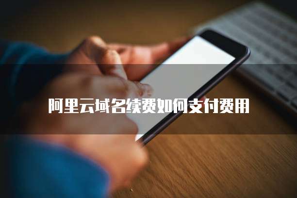阿里云域名续费如何支付费用