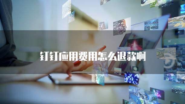 钉钉应用费用怎么退款啊