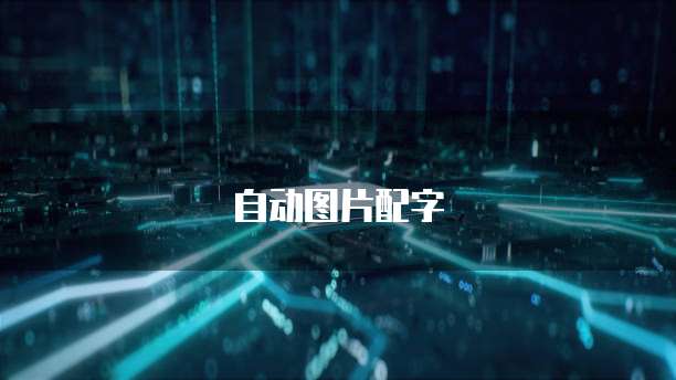钉钉财务需要哪些权限管理员验证呢？如何设置？