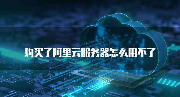 购买了阿里云服务器怎么用不了